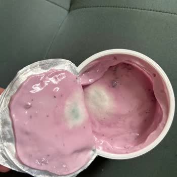 Sek Quark Ve Sek Protein Sütü Tüketen Bir Kullanıcı Olarak Küflenmiş Ürün