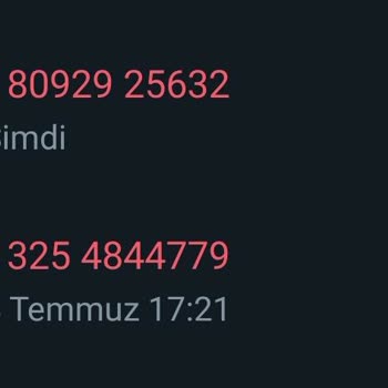 WhatsApp +91 Li Hint Profil Fotoğraflı Birileri Arıyor