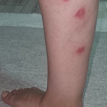 Tatil Sepeti Grand Balkanlar Turu Böcekli Otel