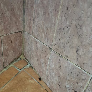 Tatil Sepeti Grand Balkanlar Turu Böcekli Otel