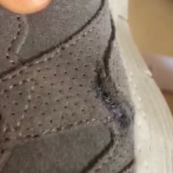 Skechers Product Is Torn, But The Company Does Not Exchange / Return
