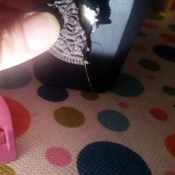 Oreo Bisküviden Kıl Çıktı