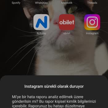 Instagram Uygulamadan Atma