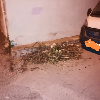 İzmir Büyükşehir Belediyesi Evimin Yanına Çöp Atıyorlar