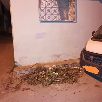 İzmir Büyükşehir Belediyesi Evimin Yanına Çöp Atıyorlar