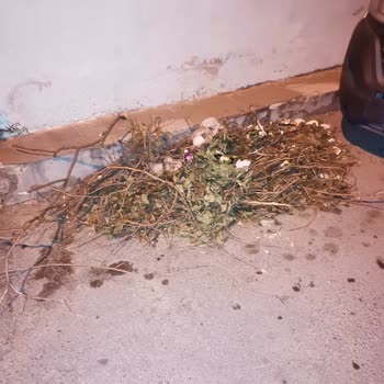 İzmir Büyükşehir Belediyesi Evimin Yanına Çöp Atıyorlar