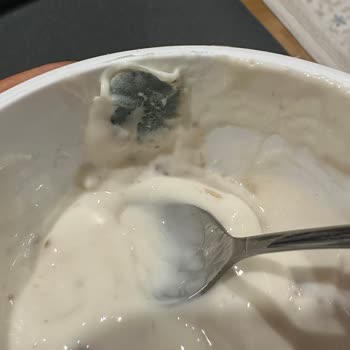 Sek Quark Küflü Çıktı