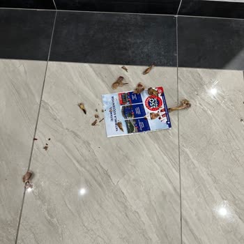 Bayrampaşa Kiptaş Asansör Problemi