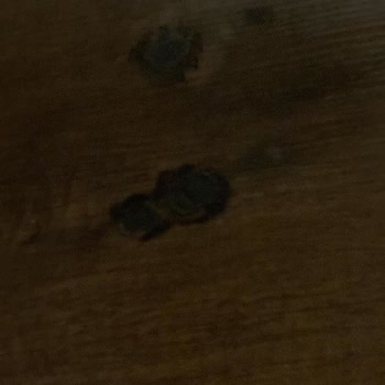 Monster Notebook Bilgisayar Durduk Yere Alev Aldı