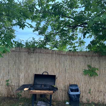 Sapanca Sardunya Bungalov Memnuniyetsizliği