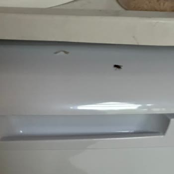 Sapanca Sardunya Bungalov Kalitesiz Hizmeti