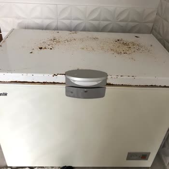 Arçelik Derin Dondurucu Kapak Çürümesi