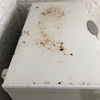 Arçelik Derin Dondurucu Kapak Çürümesi