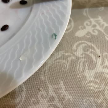 A101 Milkten Labnenin İçinden Plastik Çıktı!