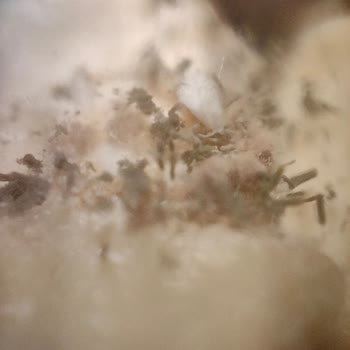 Tire Organik Gıda Ürünleri Küflü Yulaf