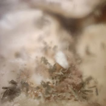 Tire Organik Gıda Ürünleri Küflü Yulaf