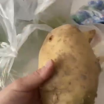 Çelikkayalar Market Çelikkayalar Ürün Sorunu