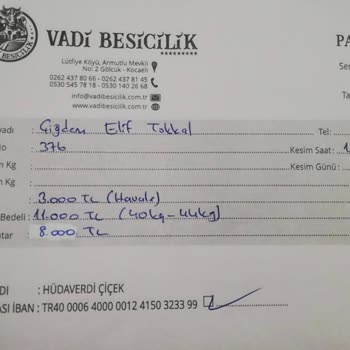 Vadi Besicilik Kurban Etini Vermediler