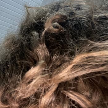 Salon Moonlight Moonlight Mersin Çamlıbel Kuaförün Saçlarımızı Mahvetmesi