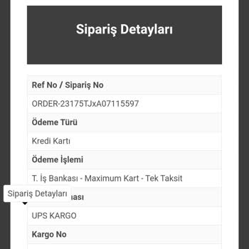 UPS Türkiye Kargo Gecikme Sorunu