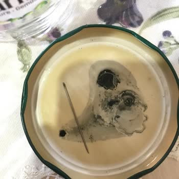 Tukaş Garnitürden Yabancı Cisim Çıkması