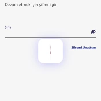 Sodexo Mobil Giriş Sorunu!