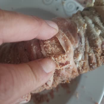 Saray Tandır Kokoreç Hijyen Sorunu!