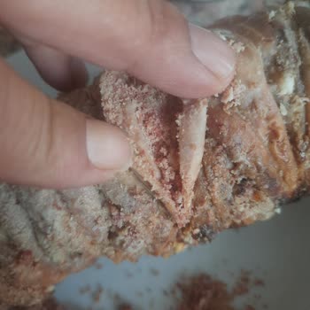 Saray Tandır Kokoreç Hijyen Sorunu!