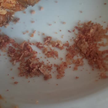 Saray Tandır Kokoreç Hijyen Sorunu!