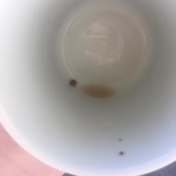 Pepsi Kola İçinden Tuhaf Bir Şey Çıktı