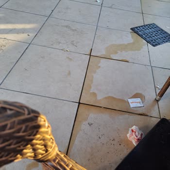 Burger King'in Durumu