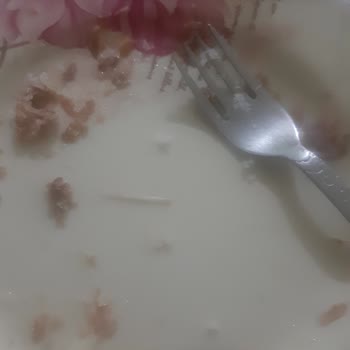 Derya Ton Balığı'nın İçinden Çıkan Kurtçuklar