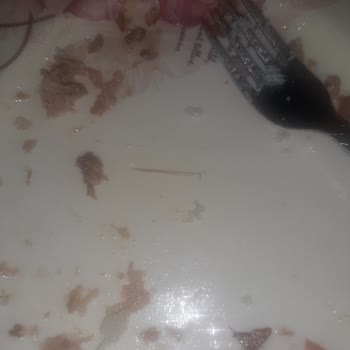 Derya Ton Balığı'nın İçinden Çıkan Kurtçuklar