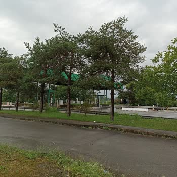 VİB Turizm Sakarya Otobüs Gecikmesi Ve Müşteri Hizmetlerinin Tavrı