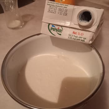 Pınar Sütün Bozuk Olması