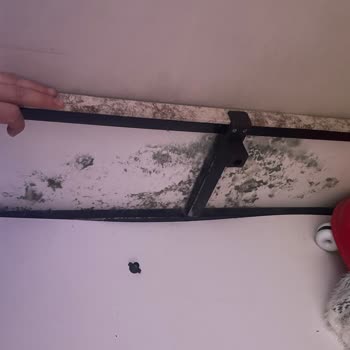 Kiptaş Konutların Sorunlarından Bihaber!