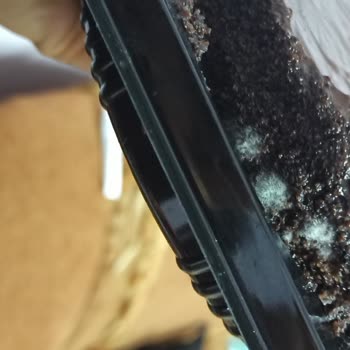 Şok Marketler Cake Time Çikolatalı Pasta