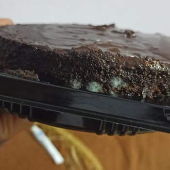 Şok Marketler Cake Time Çikolatalı Pasta