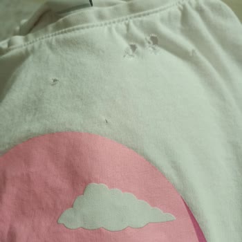 LCW Delinen Tshirtler