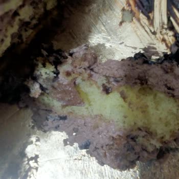 Tatlıbak Aldığım Üründen Kıl Çıkması Ve İade Talebi