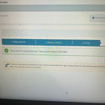 E-Devlet (Turkiye.gov.tr) IMEI Kayıt Sorunu