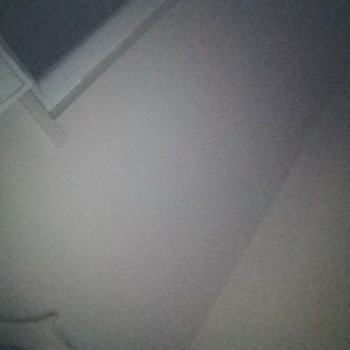 Hornet Hesabıma Giremiyorum 4 Aydır Sizden Ricam