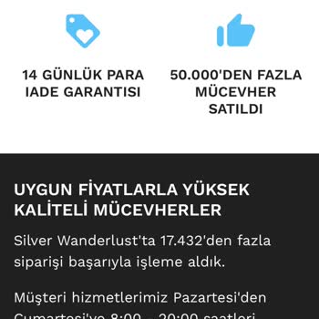 Silver Wanderlust Mücevher Ürünü Göndermiyor Ve Muhatap Yok!