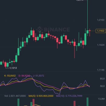 Binance Kendisi Stop Yapıyor