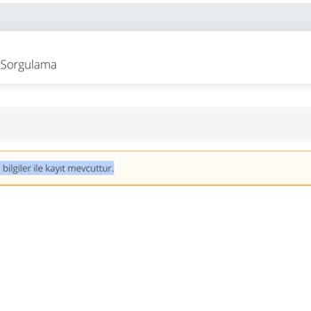 E-Devlet (Turkiye.gov.tr) Yurt Dışı Telefon IMEI Kaydı Sorunu