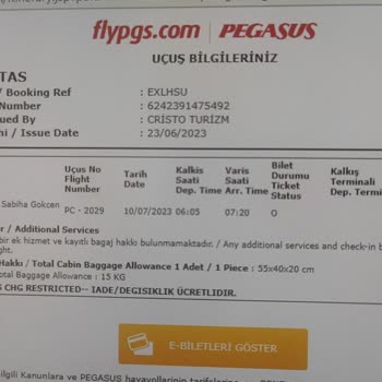 Pegasus Havayolları İlkel Satış