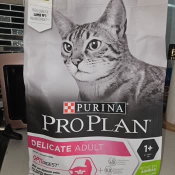 Yıllardır Kullandığım Pro Plan Mama Kedilerimde Kusma Yaptı