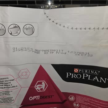 Yıllardır Kullandığım Pro Plan Mama Kedilerimde Kusma Yaptı