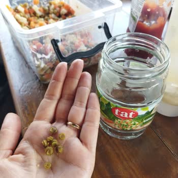 Tat Gıda Üründen Çıkan Yabancı Cisim