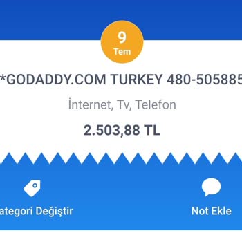Godaddy Bilgim Dışında Para Çekildi.